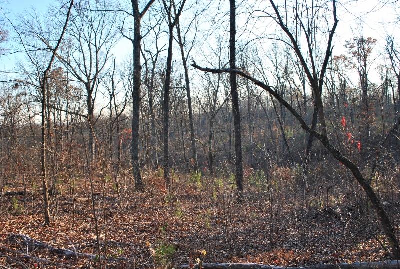 80 Wood Station Road Rock Spring, GA 30739 - Photo 3 of 6 DSC_1416 (800x537)