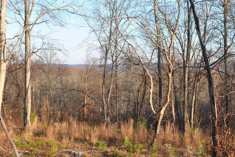 80 Wood Station Road Rock Spring, GA 30739 - Photo 4 of 6 DSC_1433 (800x537)