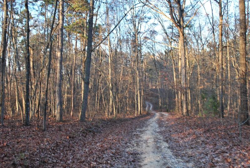 80 Wood Station Road Rock Spring, GA 30739 - Photo 6 of 6 DSC_1454 (800x537)