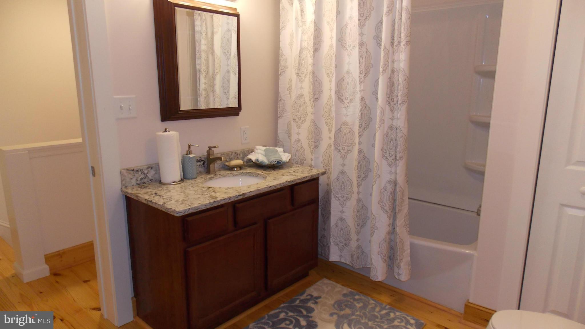 25485 Military Road Cascade, MD 21719 - Photo 19 of 30 Bath (Master)