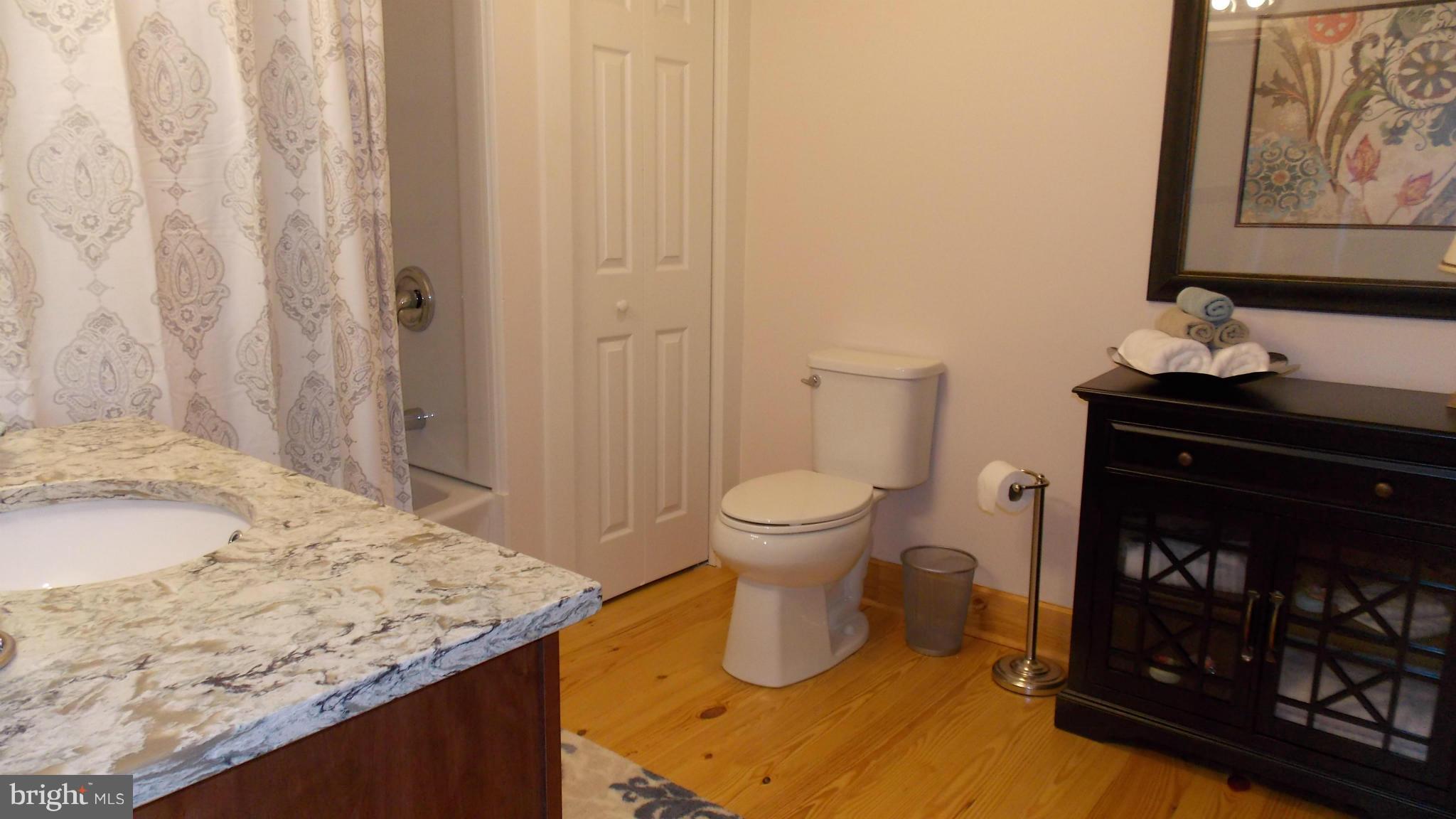 25485 Military Road Cascade, MD 21719 - Photo 20 of 30 Bath