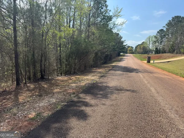 a view of a yard with trees