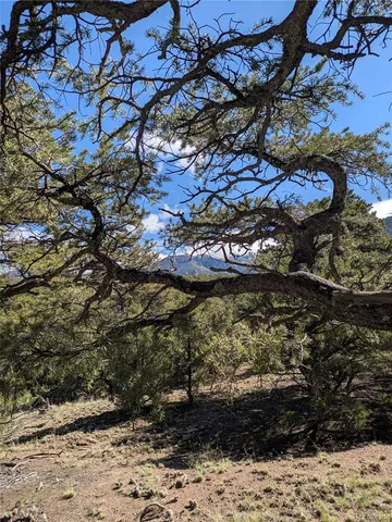 $11,000 | 1814 Lobo Point, Crestone, CO 81131