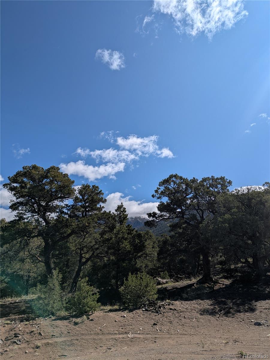 1814 Lobo Point Crestone, CO 81131 - Photo 13 of 13