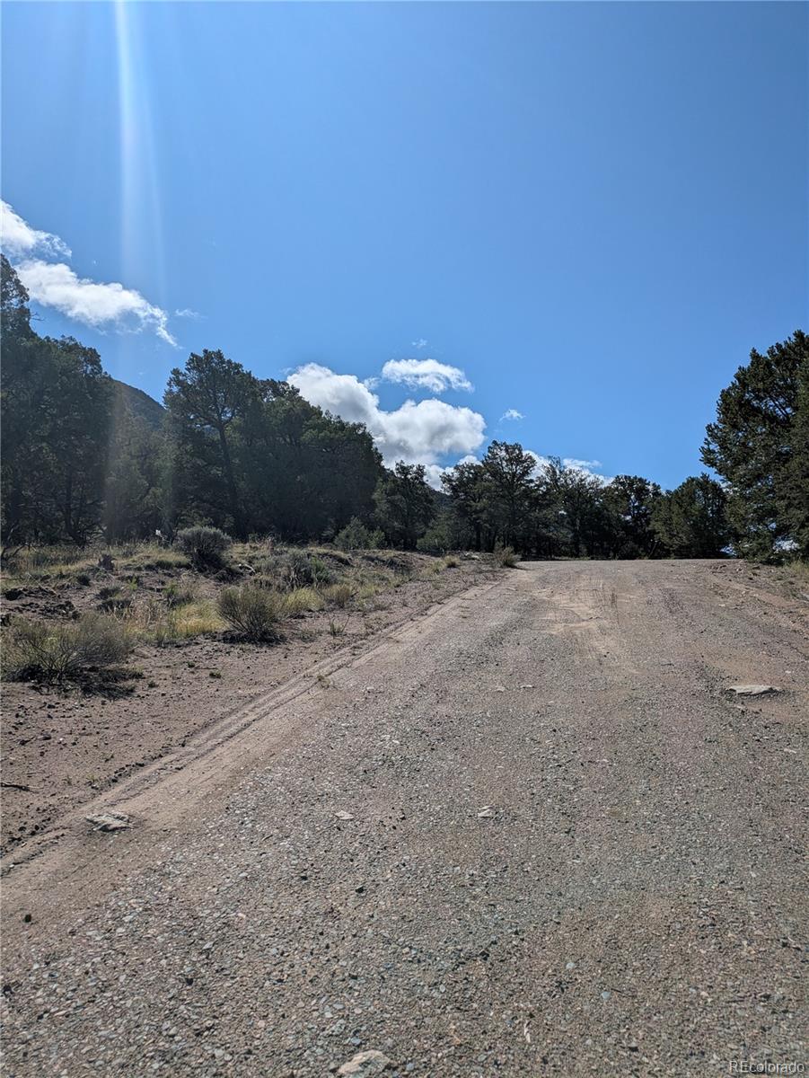 1814 Lobo Point Crestone, CO 81131 - Photo 2 of 13