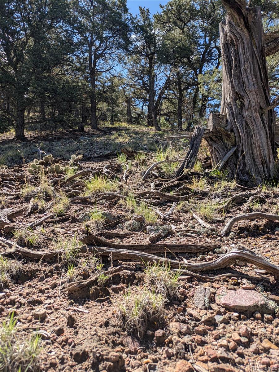 1814 Lobo Point Crestone, CO 81131 - Photo 5 of 13