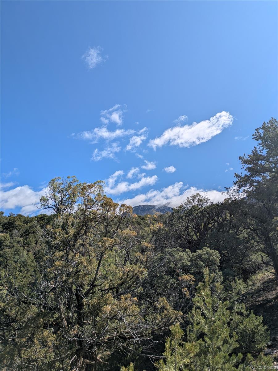 1814 Lobo Point Crestone, CO 81131 - Photo 6 of 13