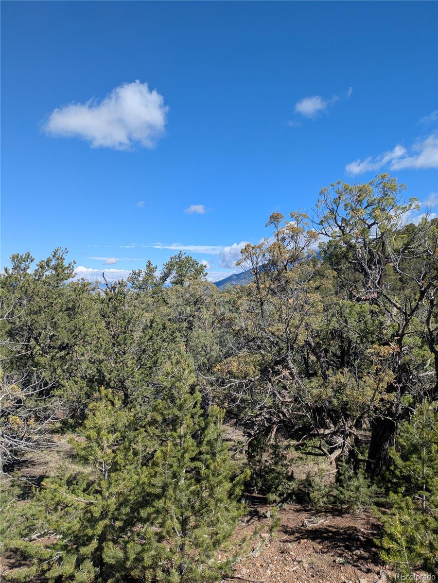 1814 Lobo Point Crestone, CO 81131 - Photo 7 of 13