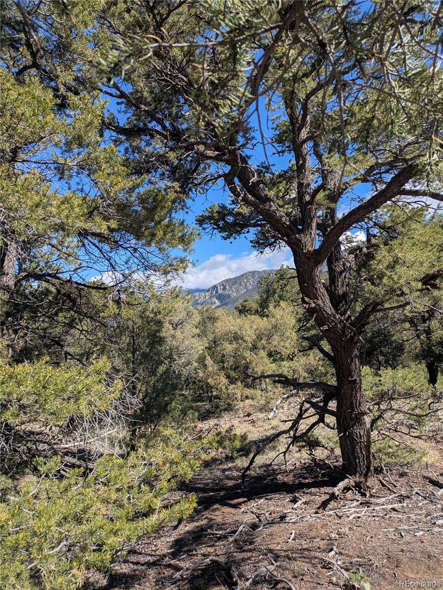 1814 Lobo Point Crestone, CO 81131 - Photo 9 of 13