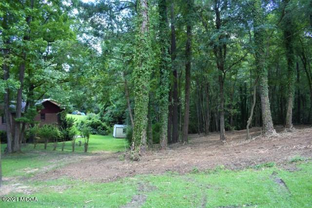 742 Old Lundy Road Macon, GA 31210 - Photo 13 of 28 Front Left 1
