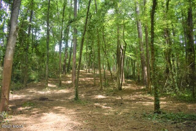742 Old Lundy Road Macon, GA 31210 - Photo 8 of 28 Center 3