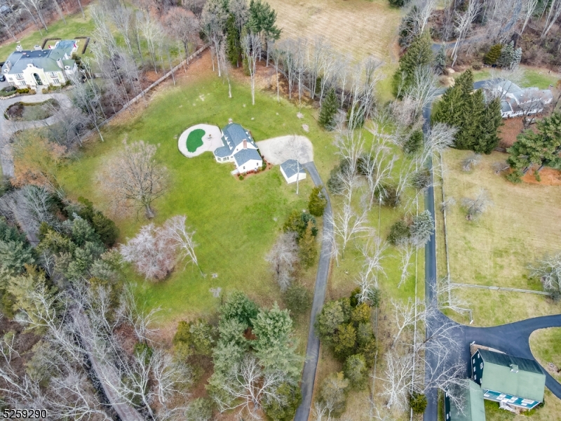 72 Youngs Road Basking Ridge, NJ 07920 - Photo 8 of 31 a view of a tree with a yard