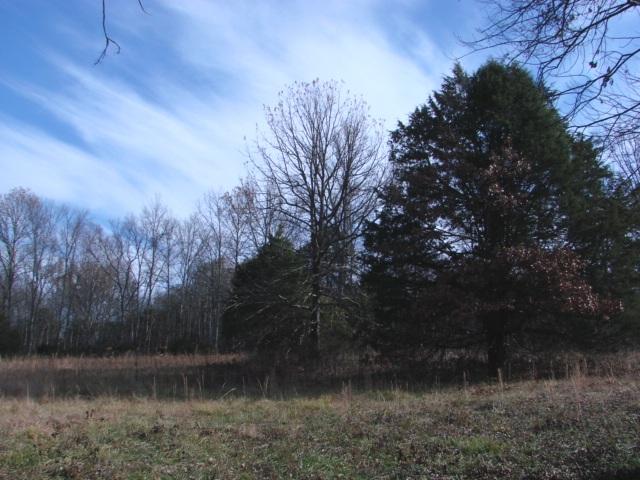 0 West Trimble Road Milton, TN 37118 - Photo 4 of 6 Gallery Image 4