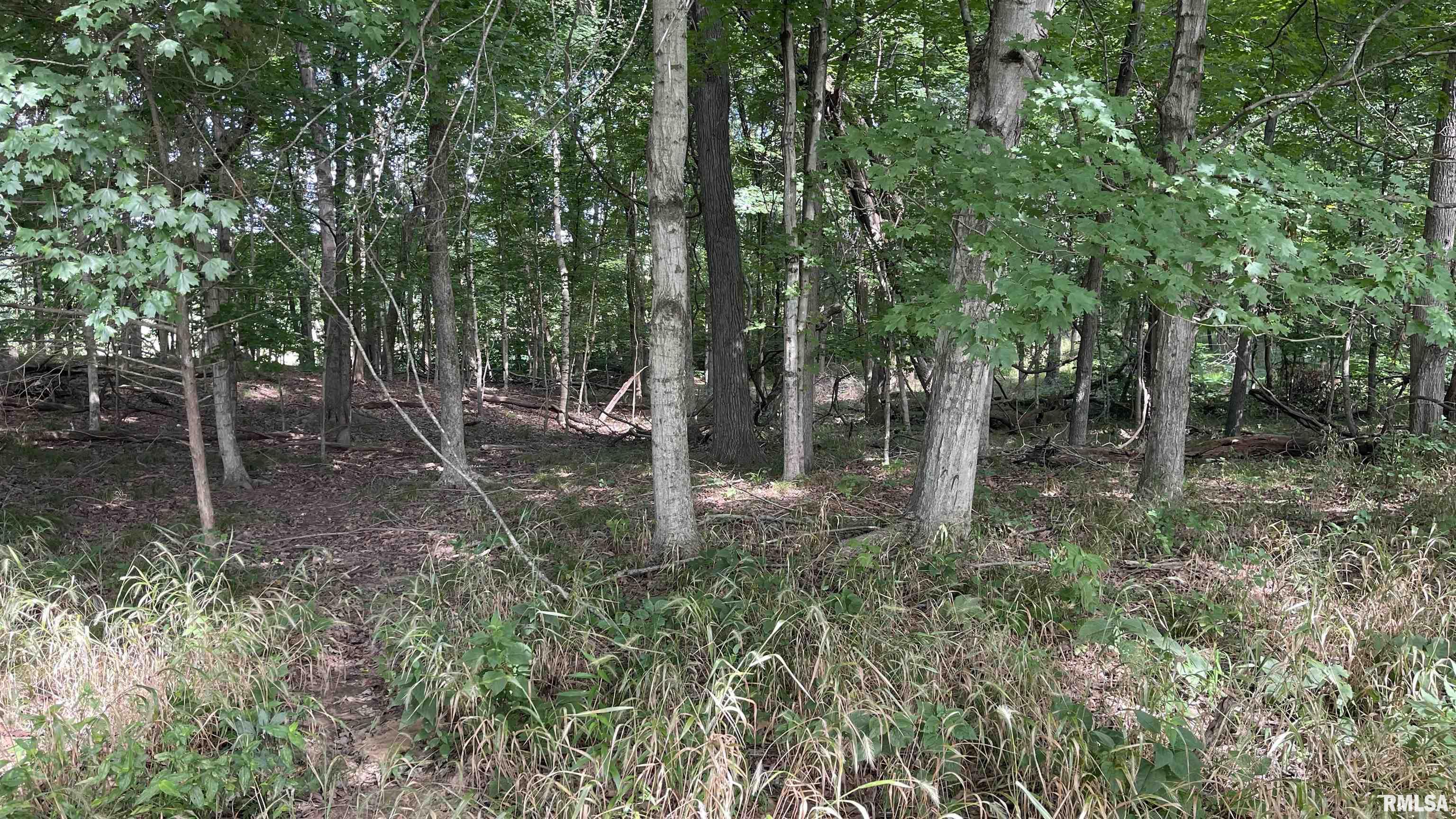 635 Tall Tree Lake Road Vienna, IL 62995 - Photo 33 of 53