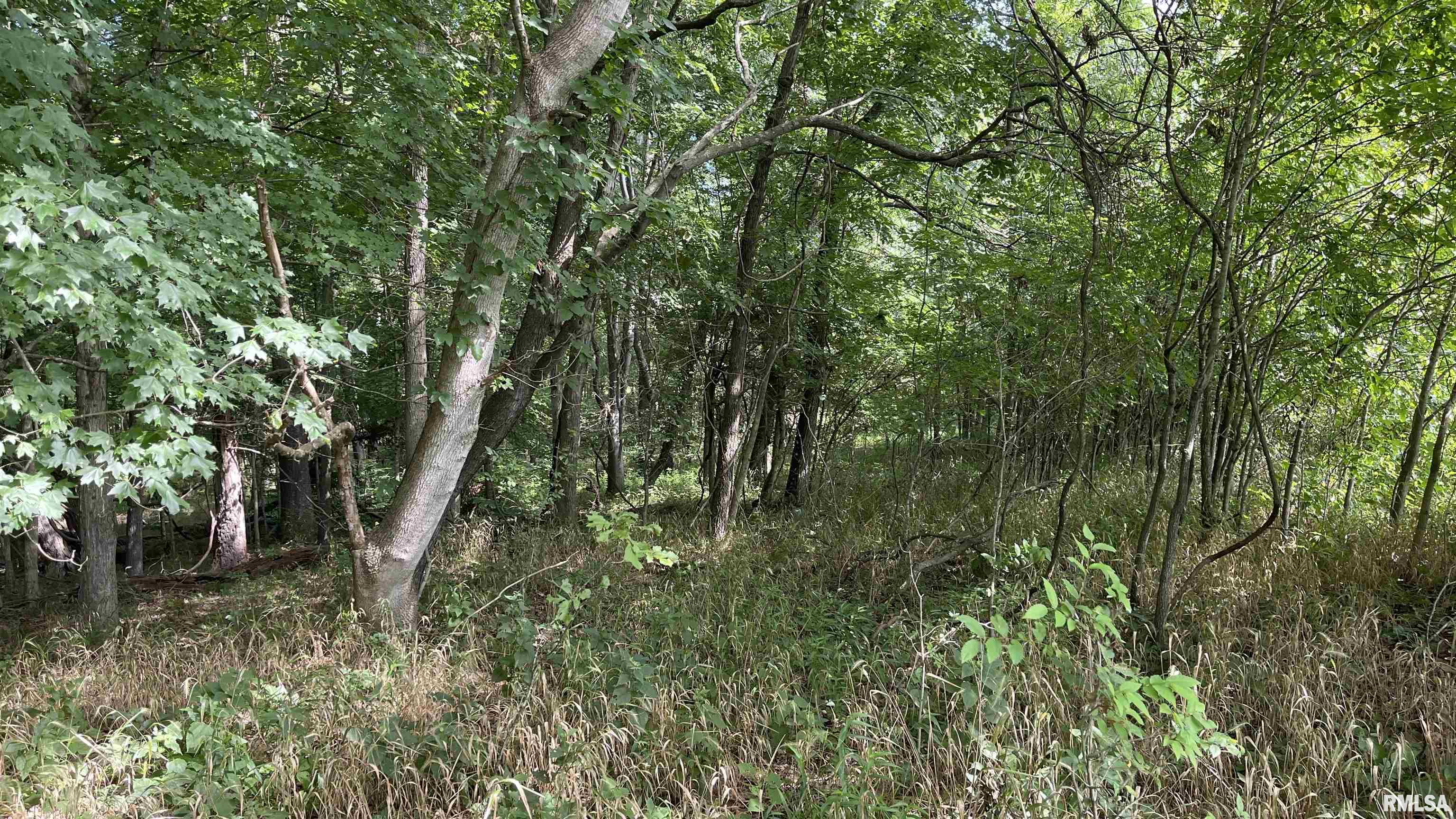 635 Tall Tree Lake Road Vienna, IL 62995 - Photo 34 of 53