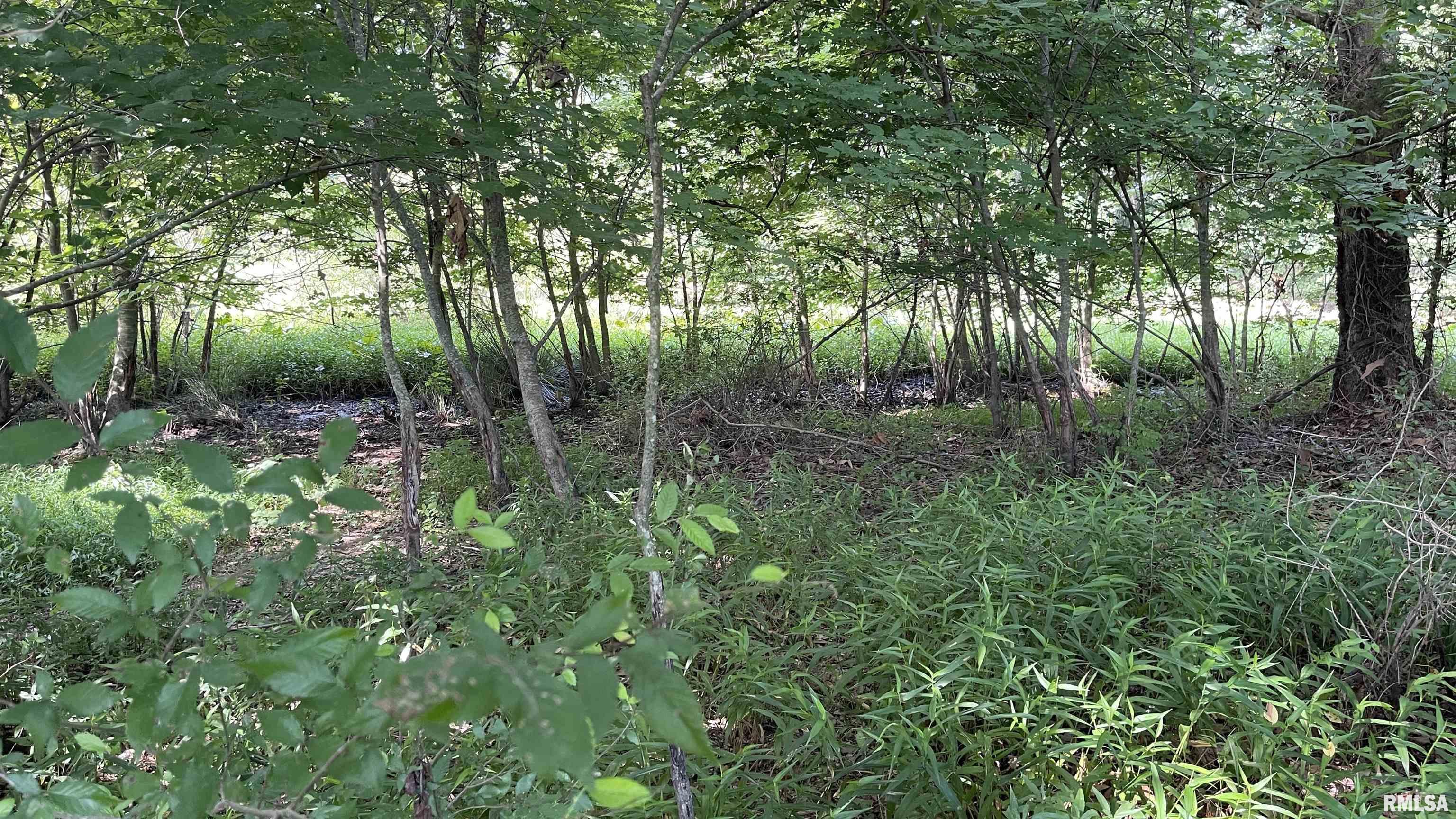 635 Tall Tree Lake Road Vienna, IL 62995 - Photo 39 of 53