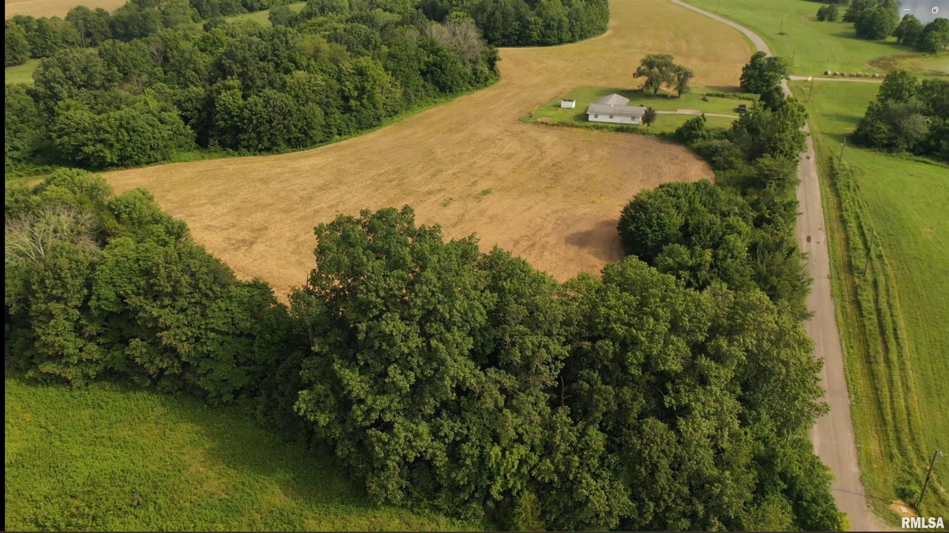 635 Tall Tree Lake Road Vienna, IL 62995 - Photo 4 of 53