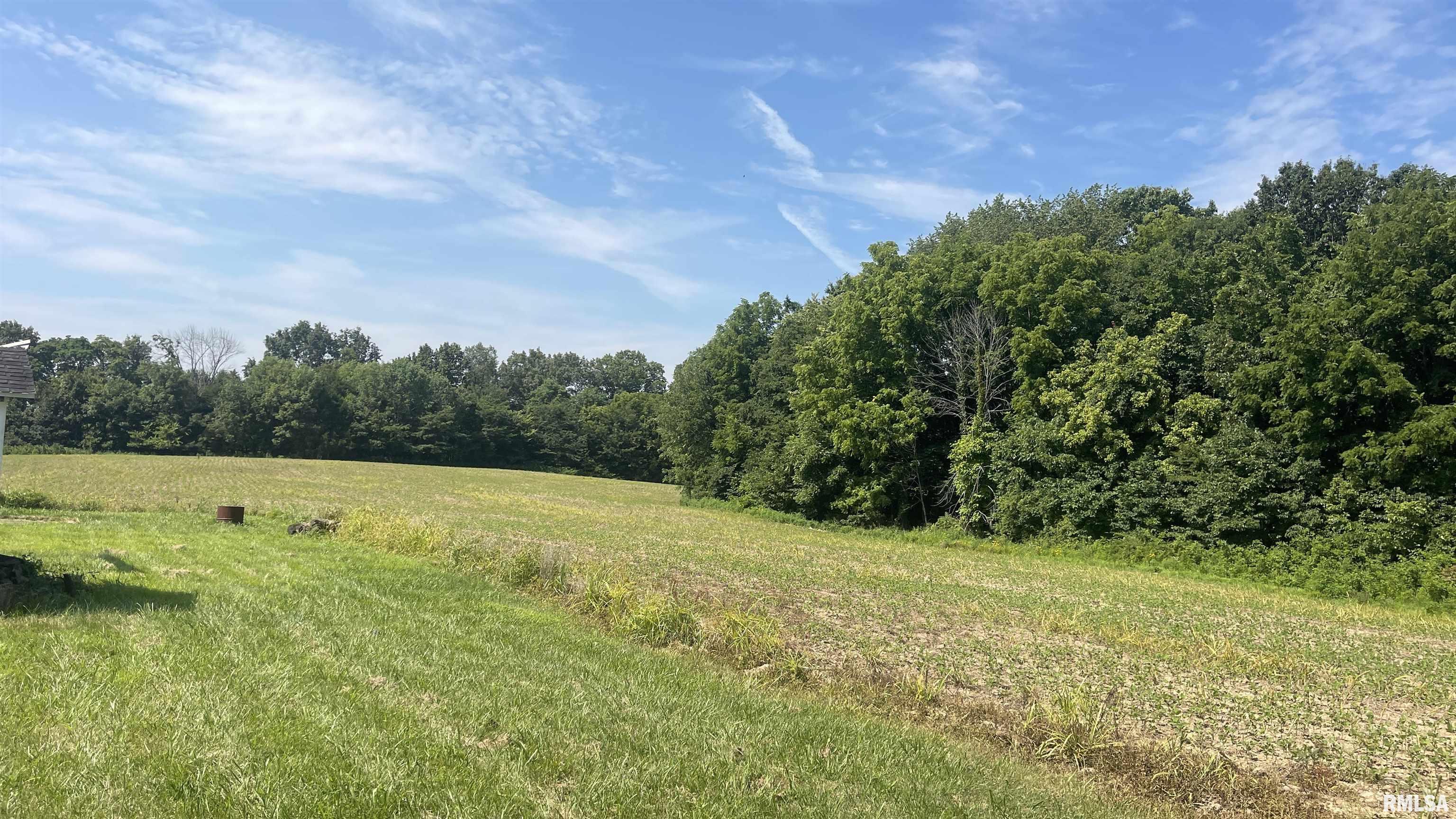 635 Tall Tree Lake Road Vienna, IL 62995 - Photo 50 of 53