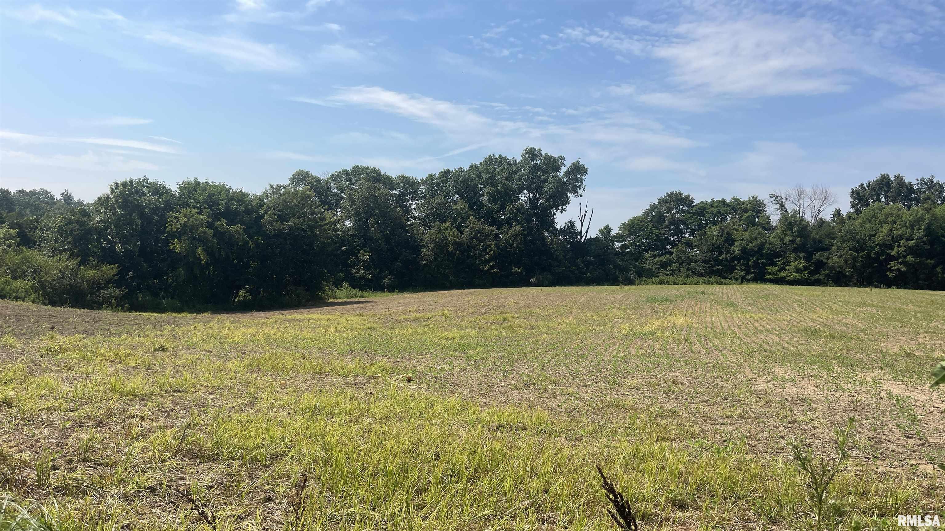 635 Tall Tree Lake Road Vienna, IL 62995 - Photo 52 of 53