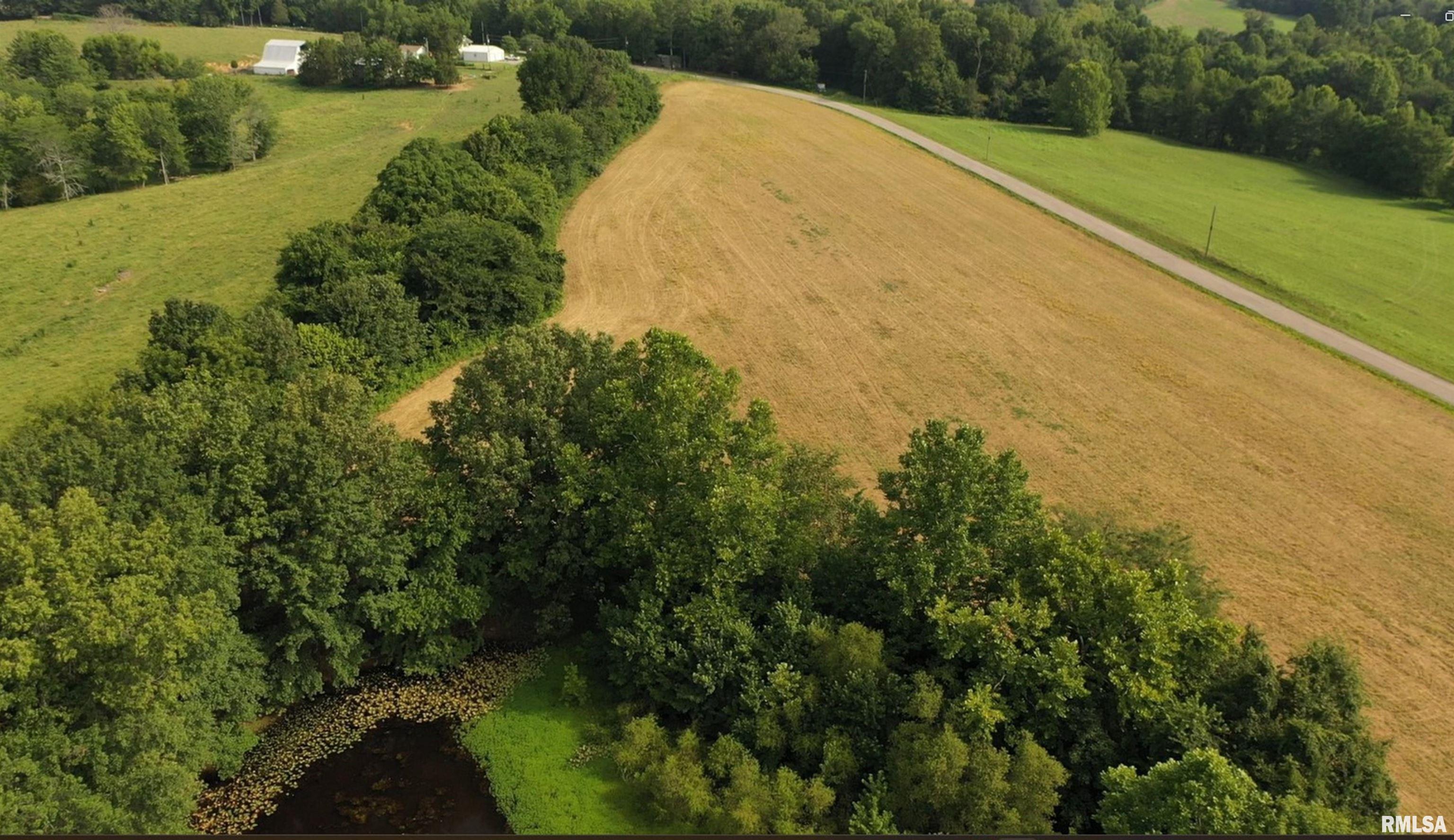 635 Tall Tree Lake Road Vienna, IL 62995 - Photo 6 of 53
