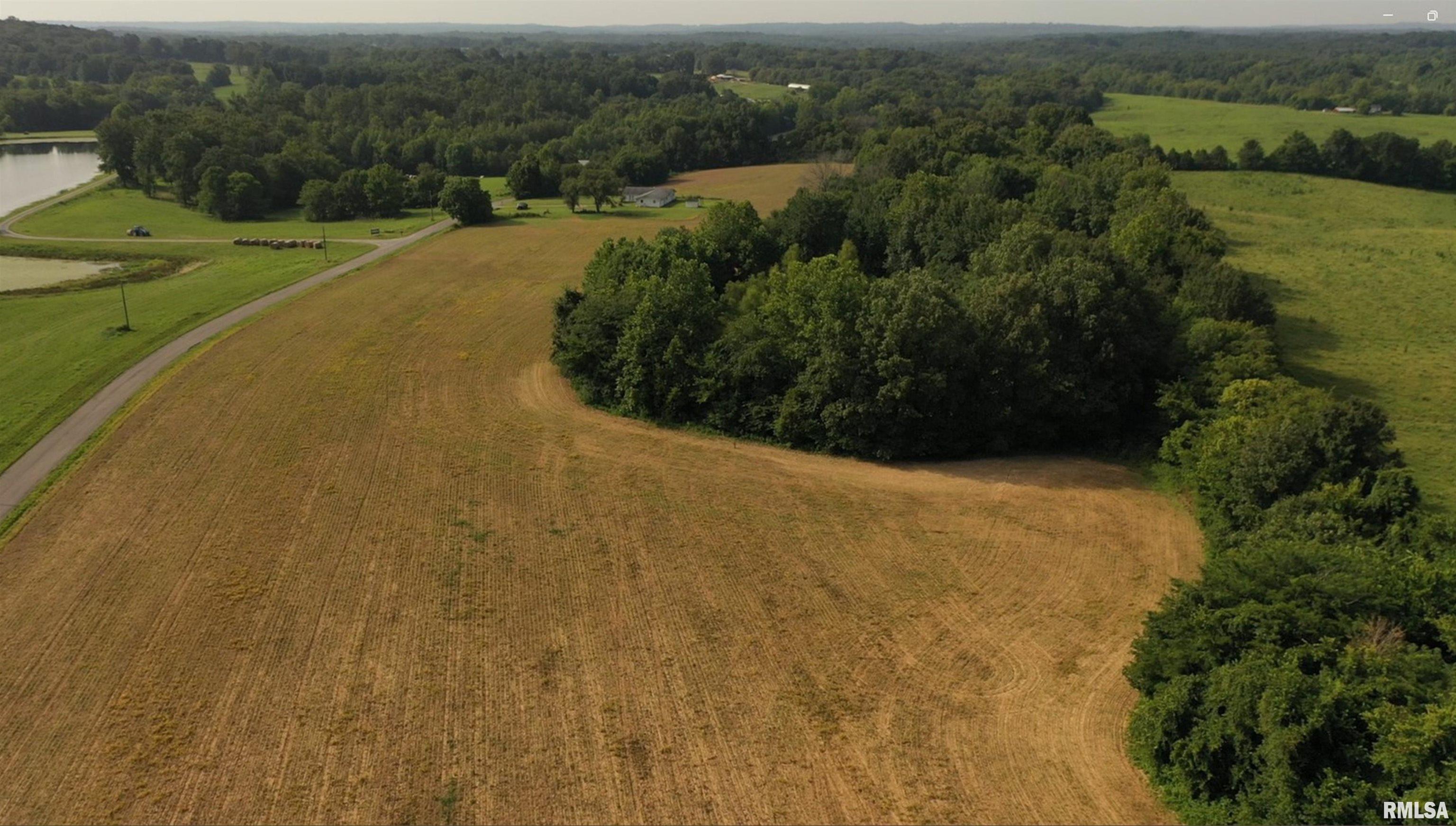 635 Tall Tree Lake Road Vienna, IL 62995 - Photo 8 of 53