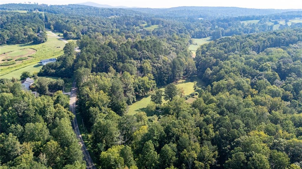 1783 4 Mile Church Road Ball Ground, GA 30107 - Photo 11 of 52