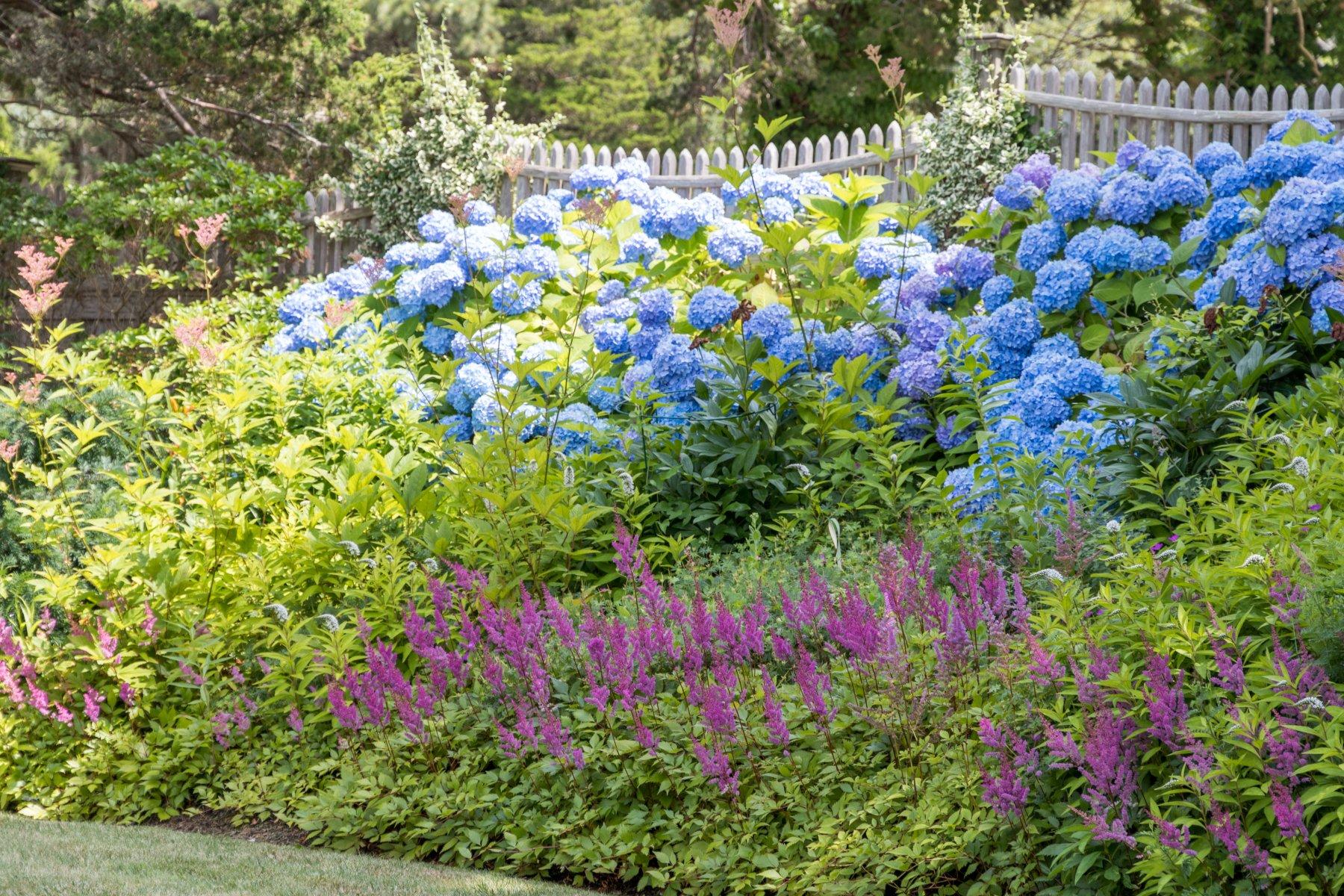 204 Barley Neck Road Orleans, MA 02653 - Photo 35 of 35 Colorful Perennial Beds