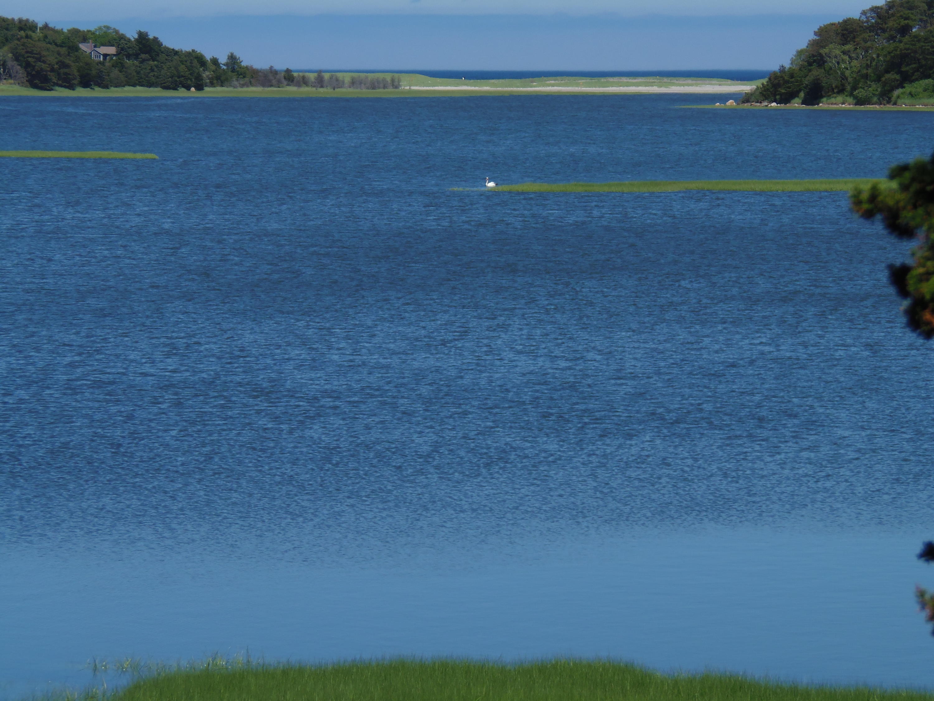 204 Barley Neck Road Orleans, MA 02653 - Photo 4 of 35 Nauset Beach in Distance