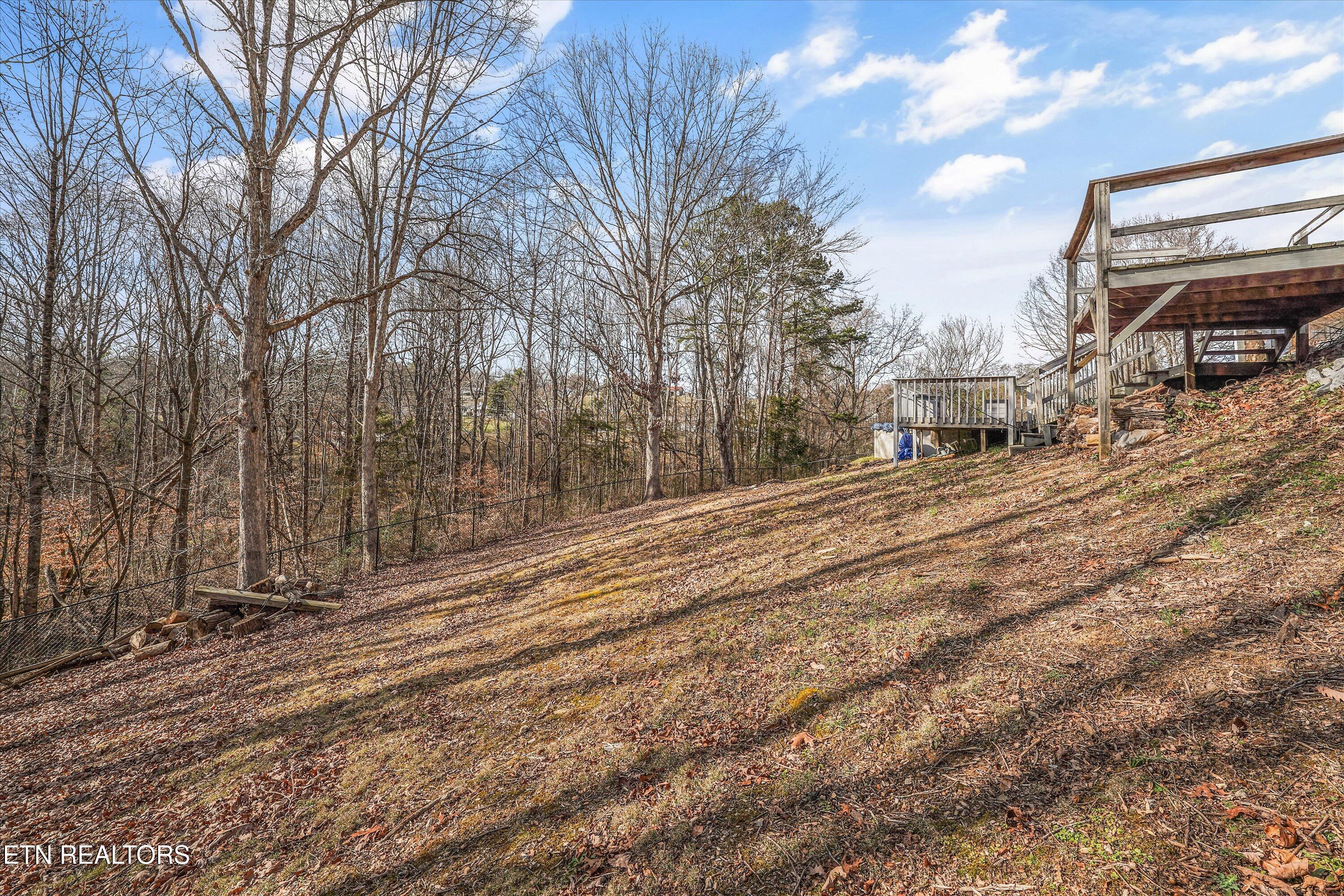 8225 Cricket Road Powell, TN 37849 - Photo 42 of 50 45-8225 Cricket Rd51