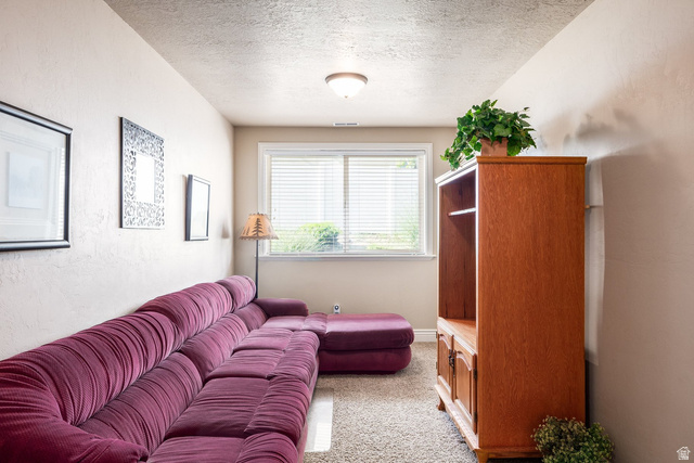 258 Red Leaf Drive Draper, UT 84020 - Photo 23 of 53