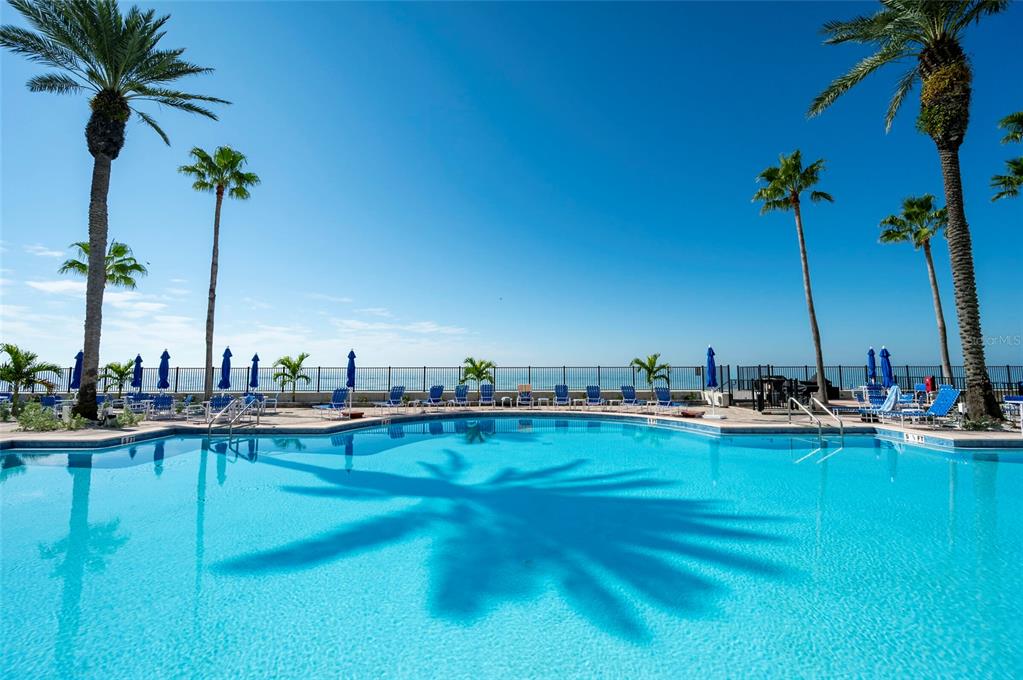 16750 Gulf Boulevard, Unit 414 North Redington Beach, FL 33708 - Photo 58 of 68