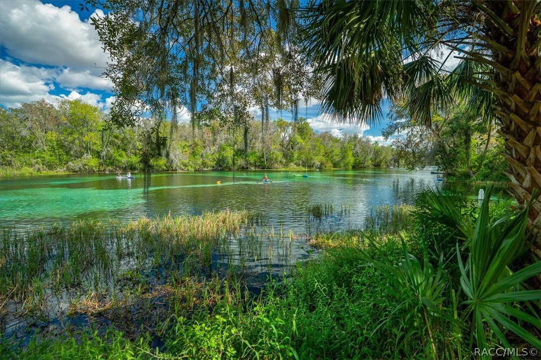 8859 Southwest 196th Avenue Road Dunnellon, FL 34432 - Photo 51 of 54