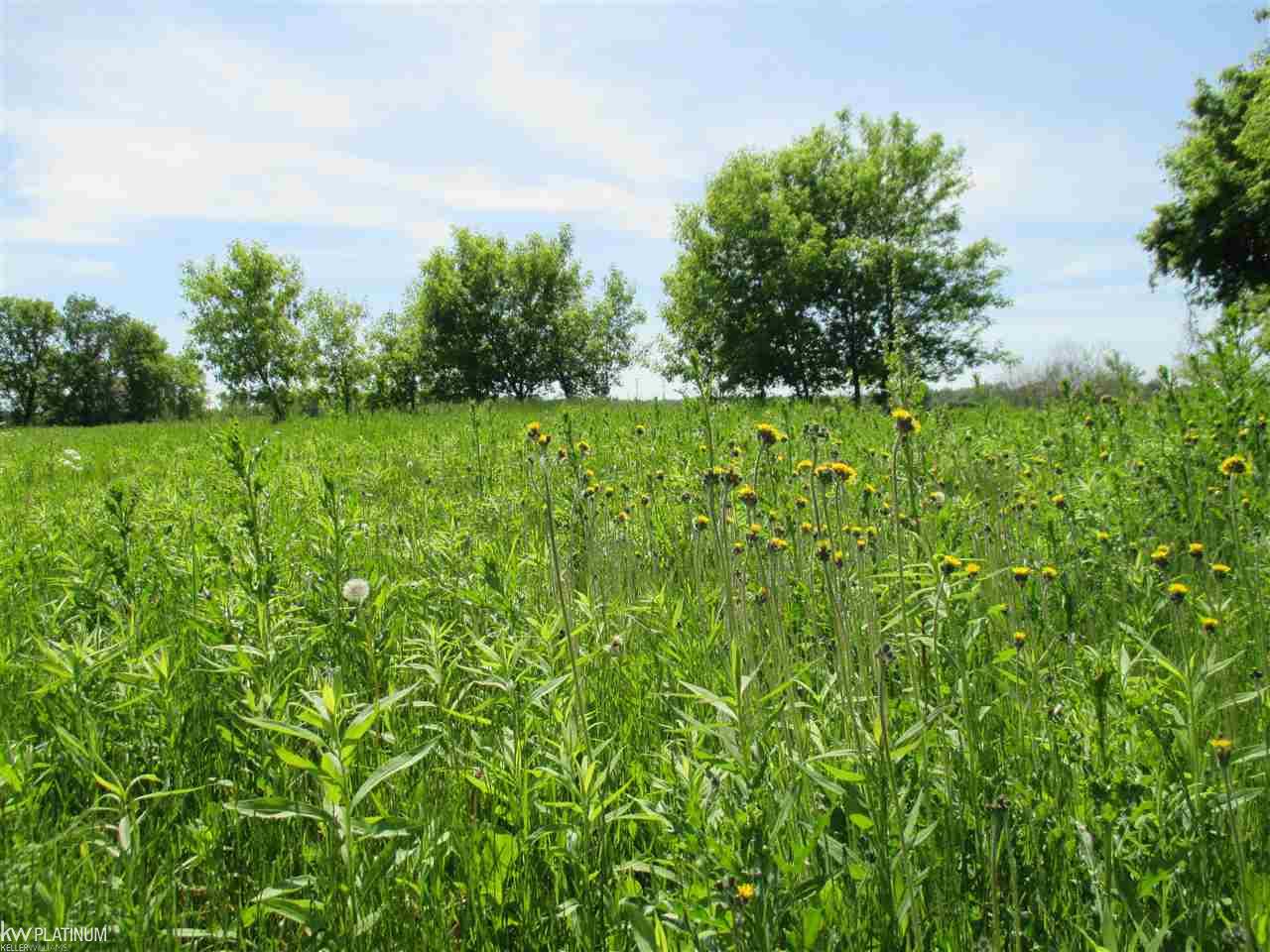 Parcel G State Road Fort Gratiot, MI 48059 - Photo 10 of 13