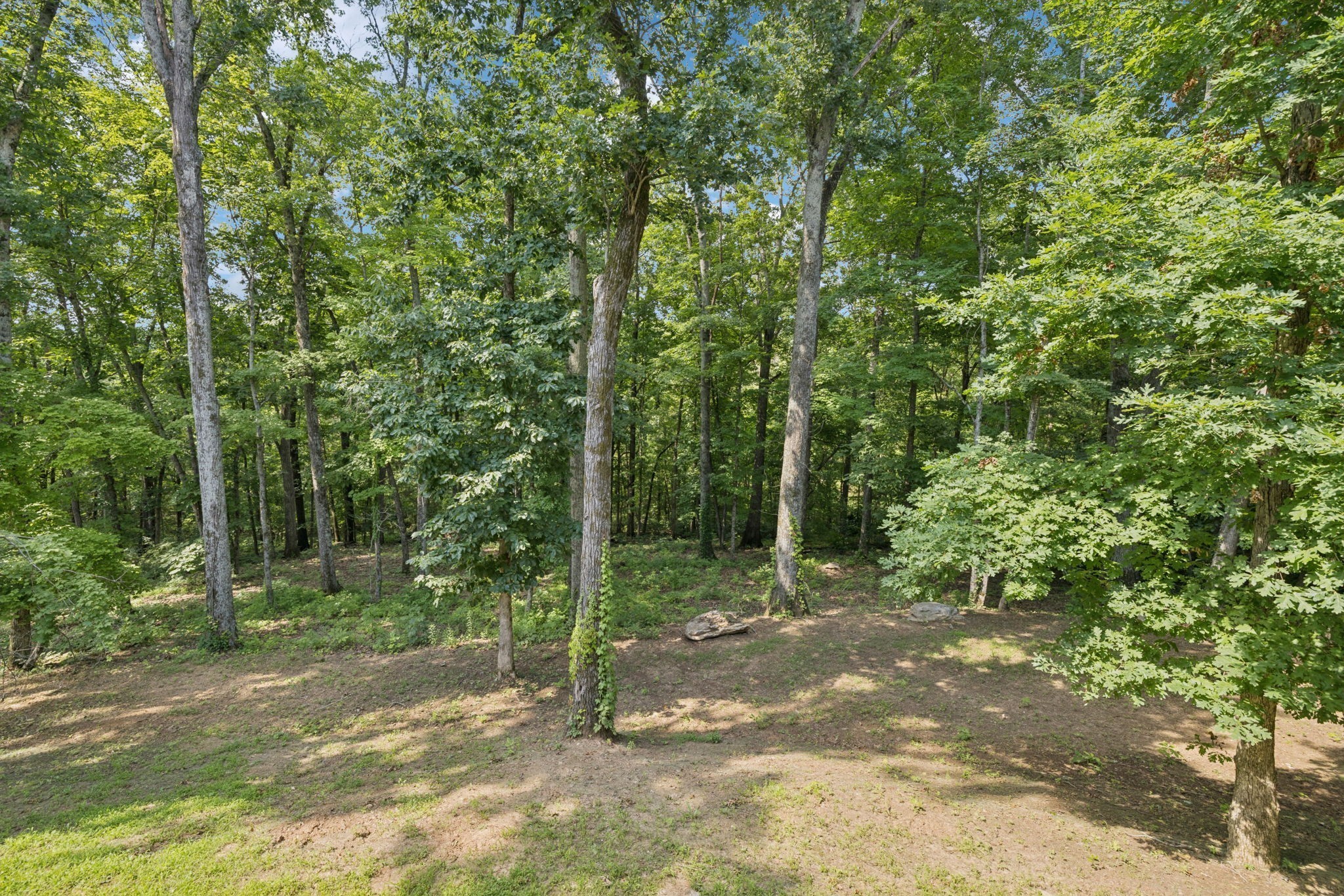 1556 Heller Ridge Spring Hill, TN 37174 - Photo 56 of 56 Gallery Image 56