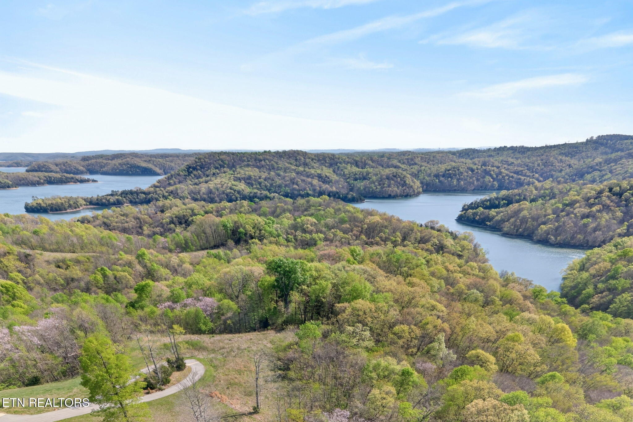 1-web-or-mls-Goose Ln_100