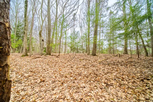 $55,000 | East Piney Road, Manistee, MI 49660
