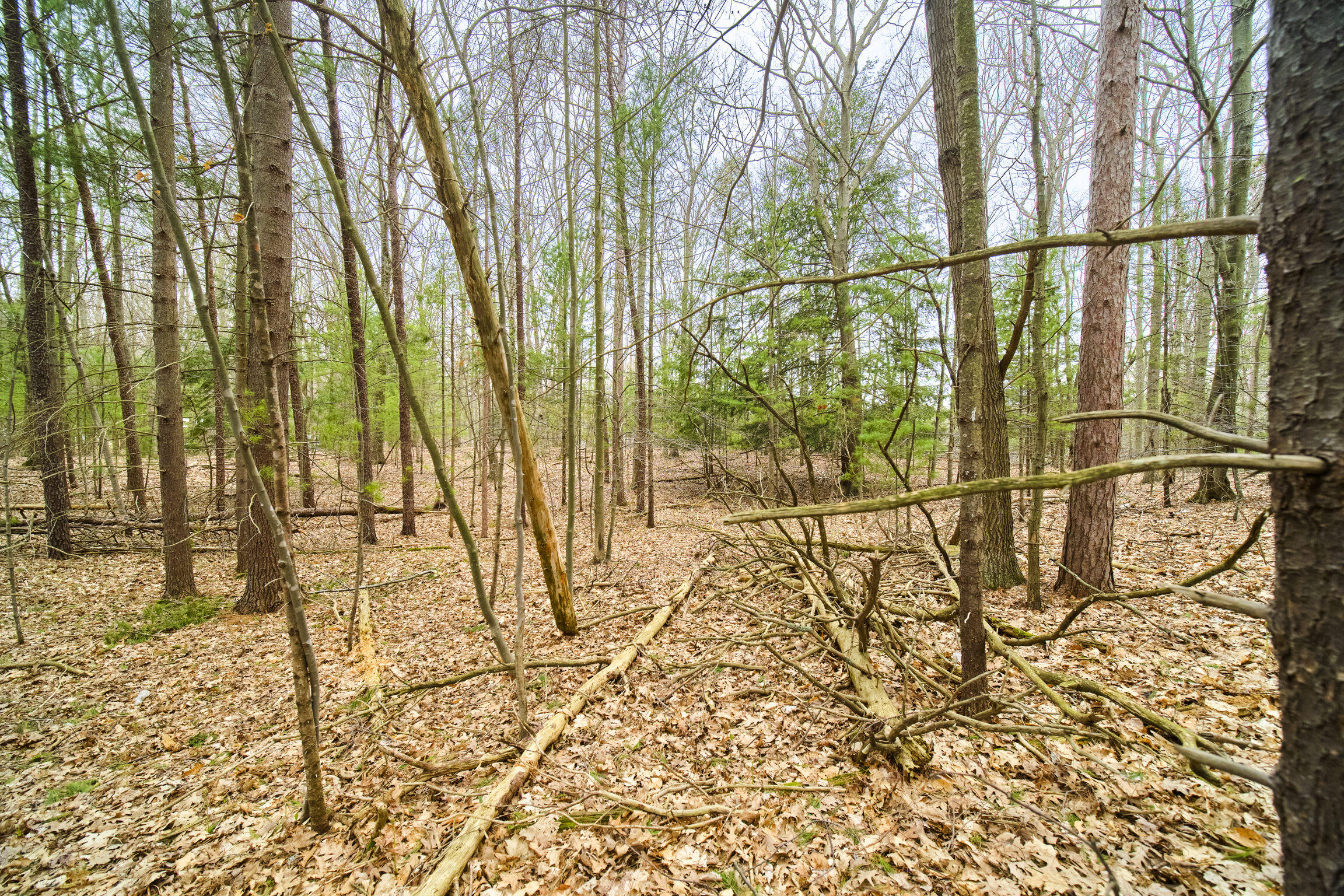 East Piney Road Manistee, MI 49660 - Photo 13 of 24 Piney Road