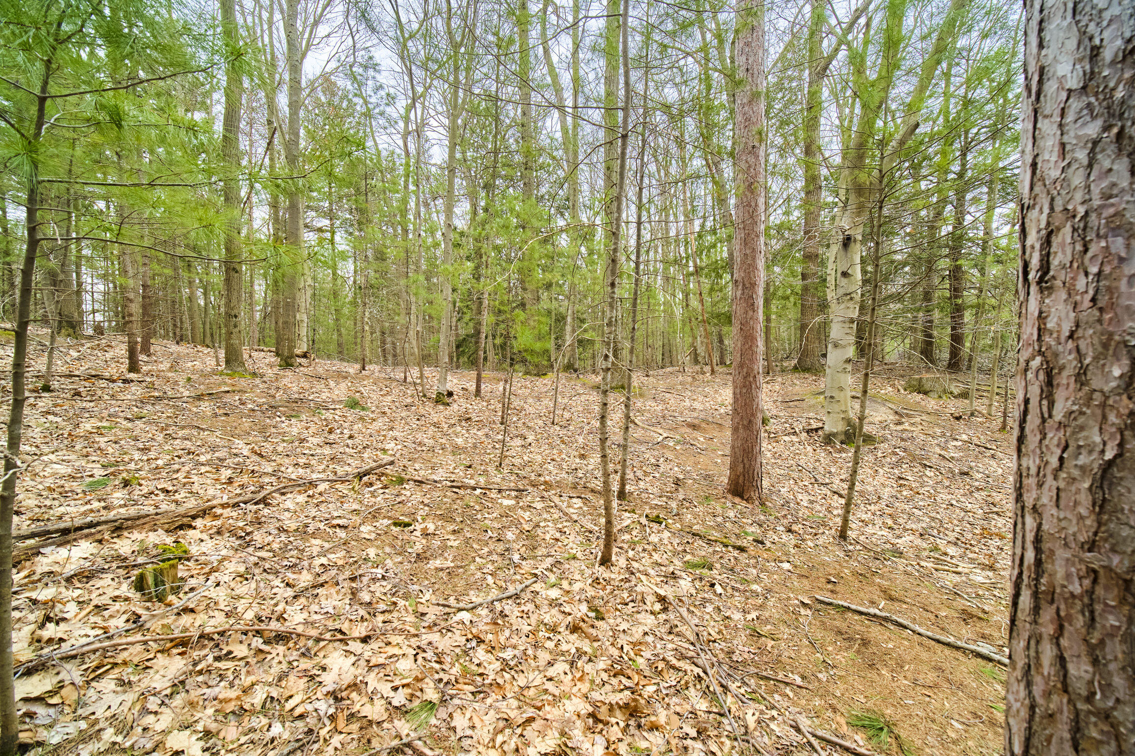 East Piney Road Manistee, MI 49660 - Photo 15 of 24 Piney Road