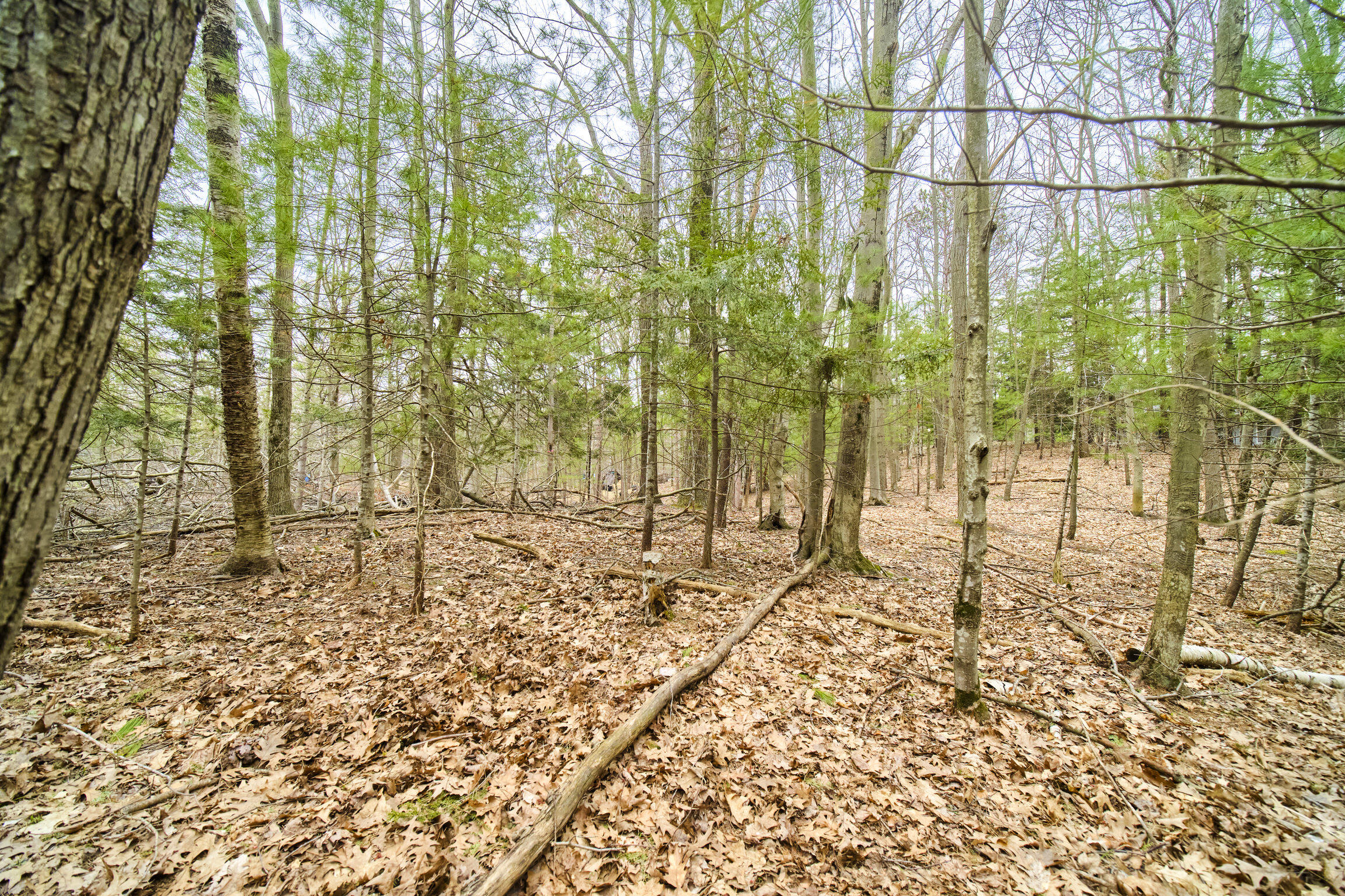 East Piney Road Manistee, MI 49660 - Photo 17 of 24 Piney Road