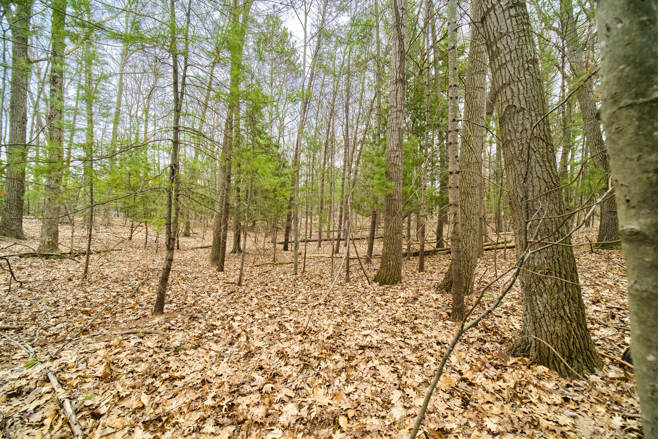 East Piney Road Manistee, MI 49660 - Photo 20 of 24 Piney Road