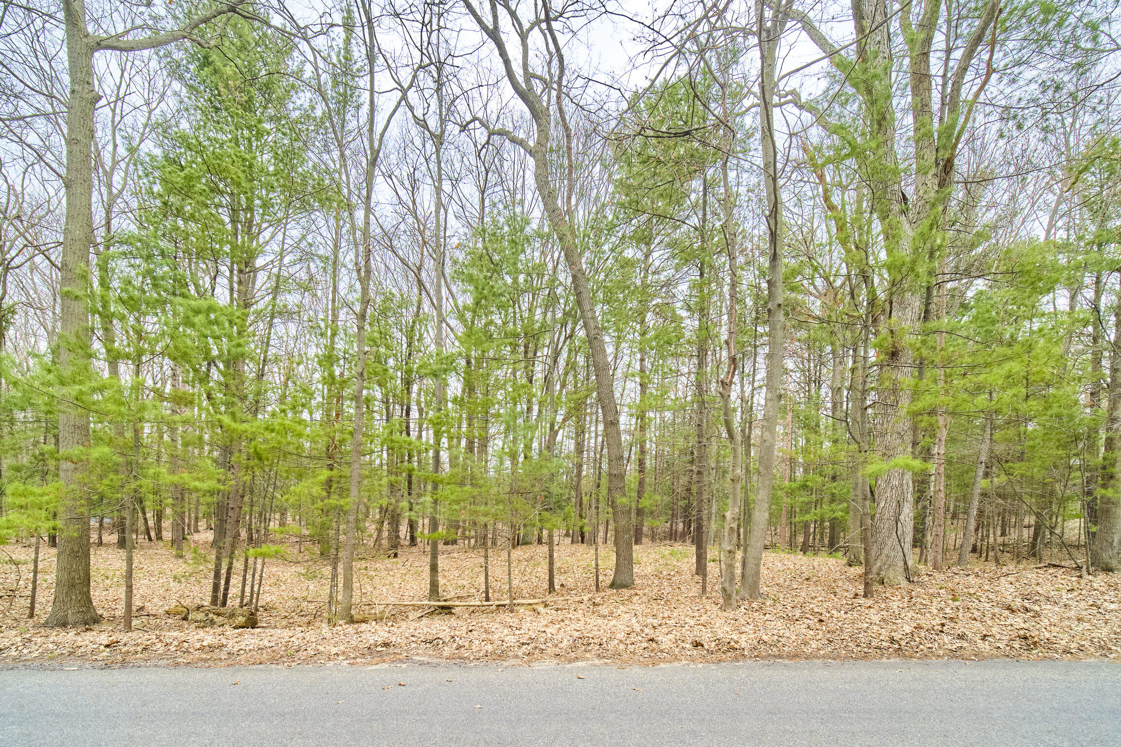 East Piney Road Manistee, MI 49660 - Photo 22 of 24 Piney Road