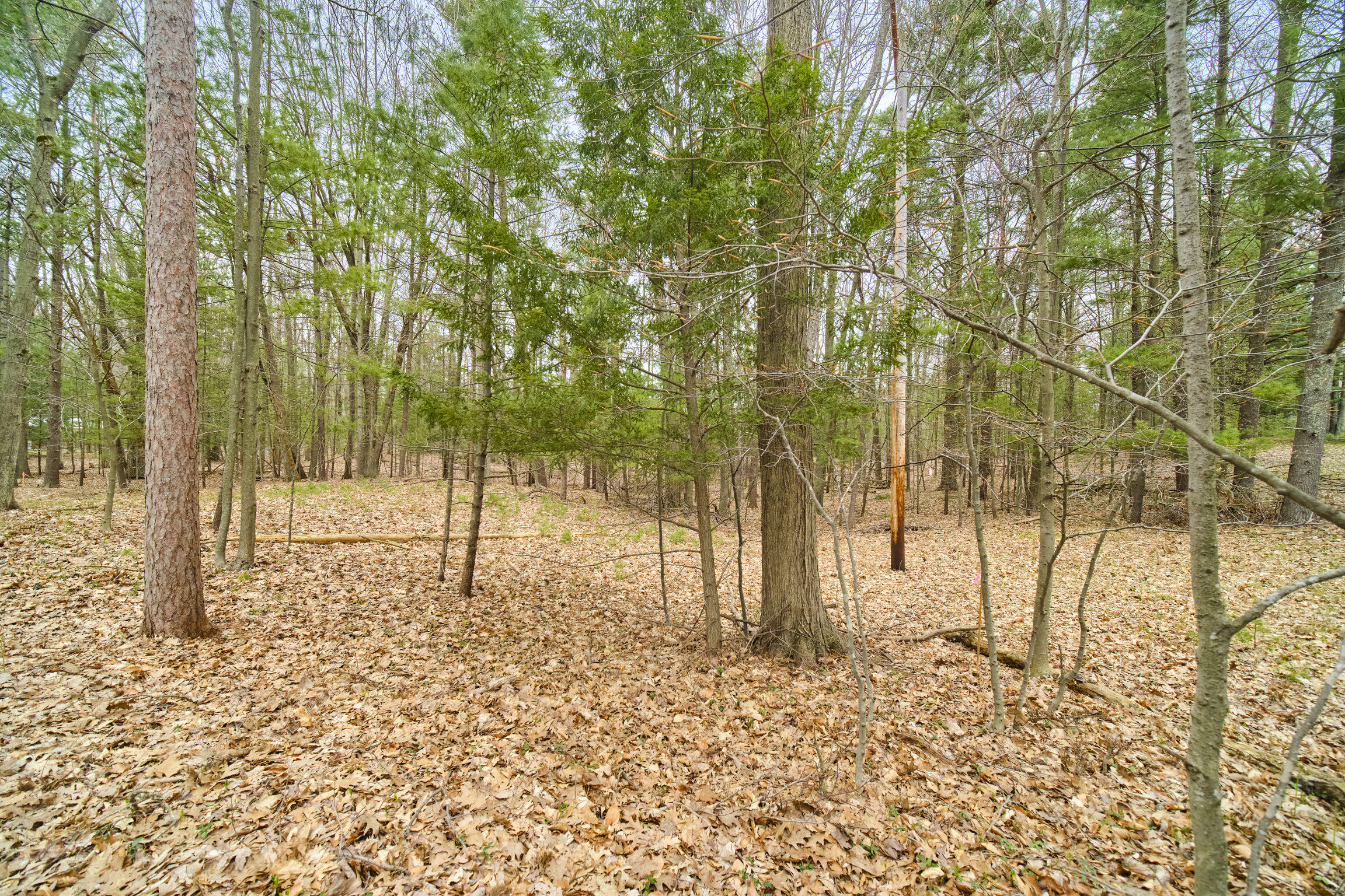 East Piney Road Manistee, MI 49660 - Photo 3 of 24 Piney Road