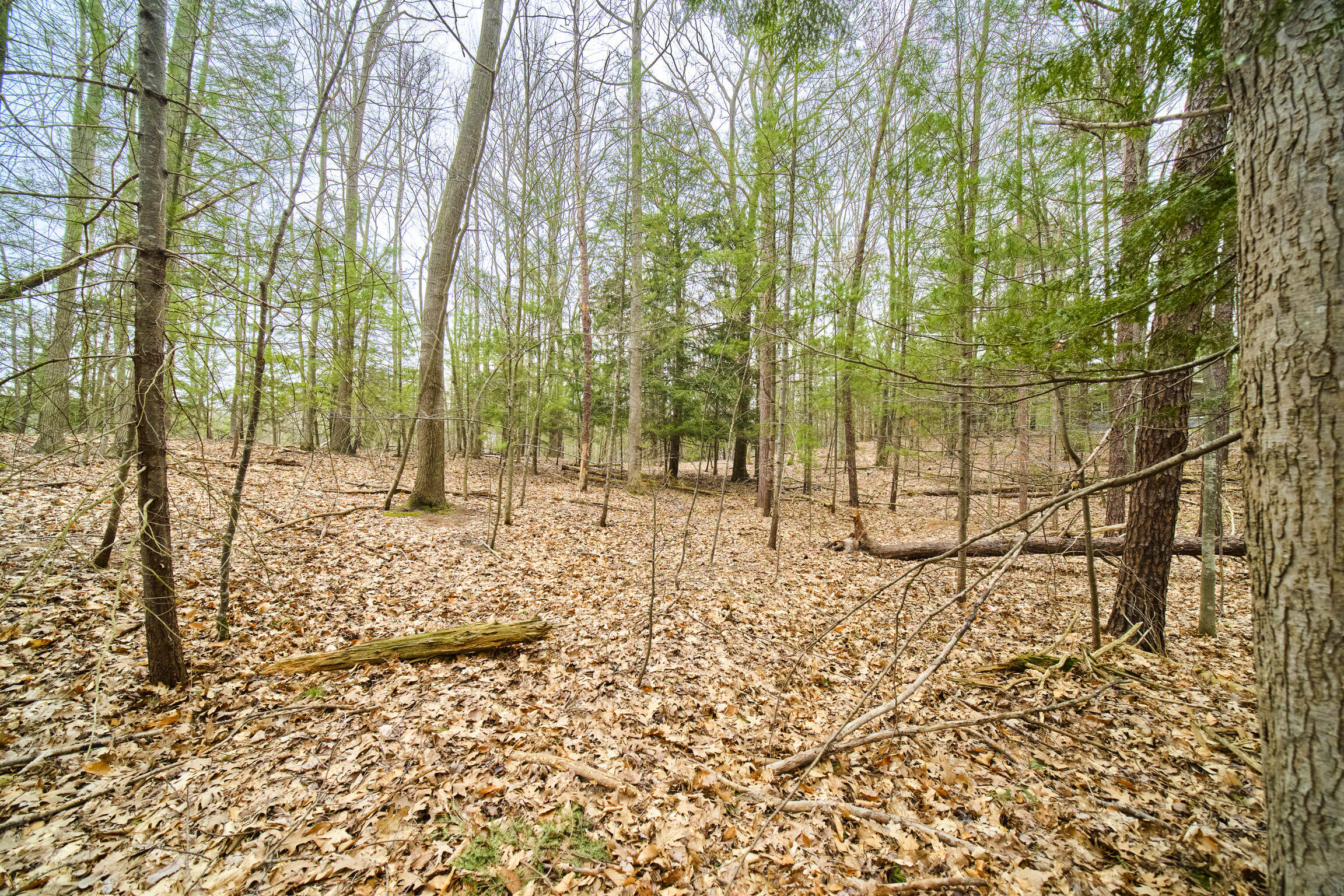 East Piney Road Manistee, MI 49660 - Photo 5 of 24 Piney Road