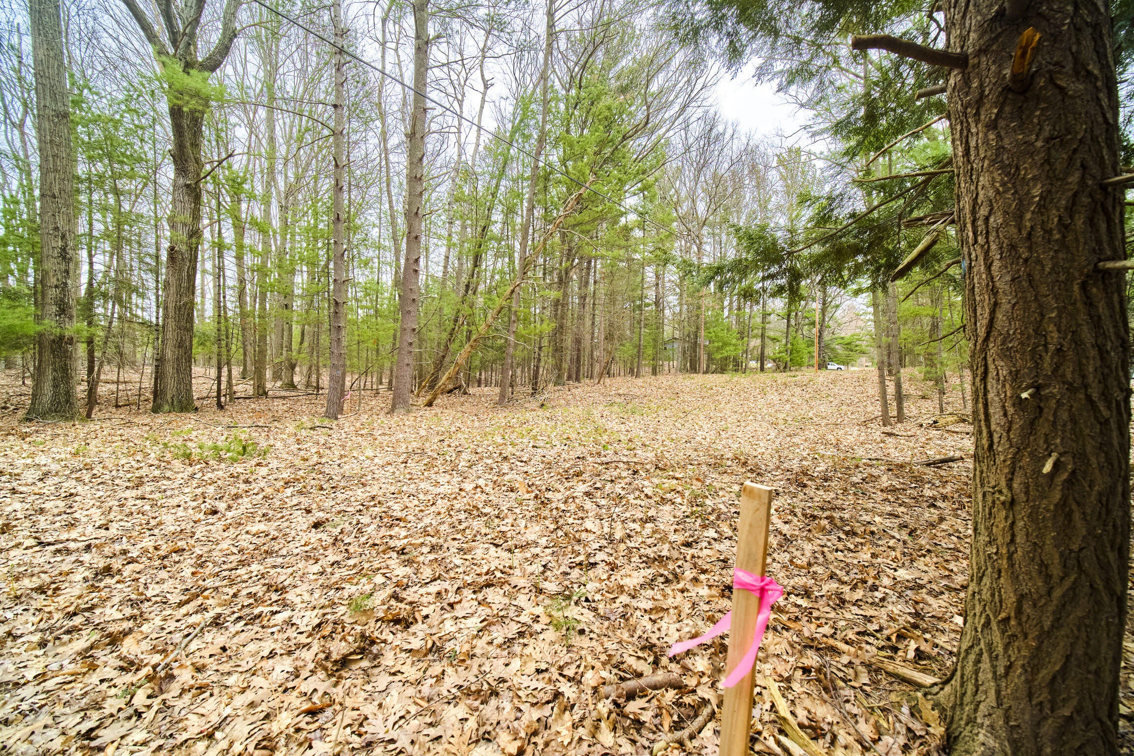 East Piney Road Manistee, MI 49660 - Photo 6 of 24 Piney Road
