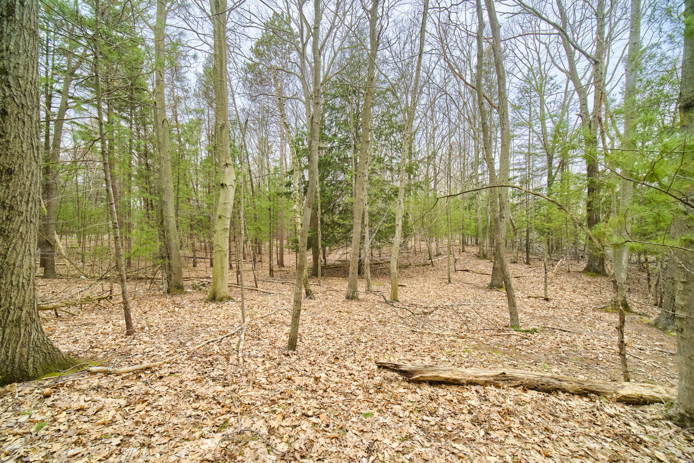 East Piney Road Manistee, MI 49660 - Photo 7 of 24 Piney Road
