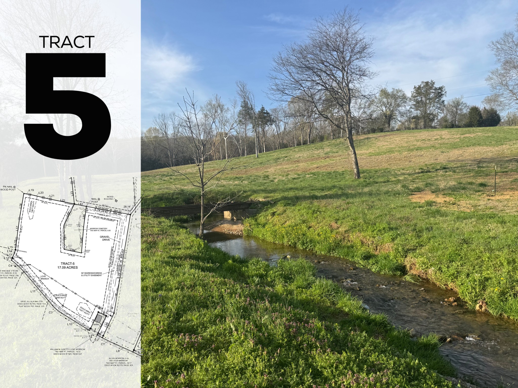 0 Love Branch Road Hampshire, TN 38461 - Photo 1 of 4 a view of yard