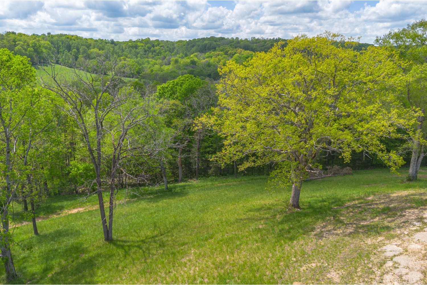 0 Love Branch Road Hampshire, TN 38461 - Photo 3 of 4 a backyard of a house with lots of green space