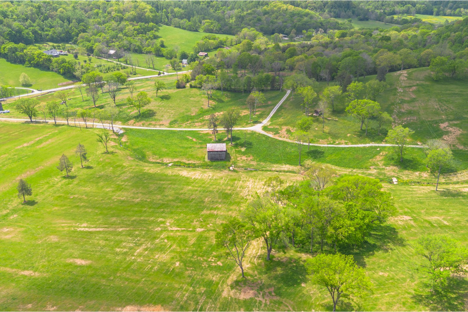 0 Love Branch Road Hampshire, TN 38461 - Photo 4 of 4 a view of a indoor basketball court