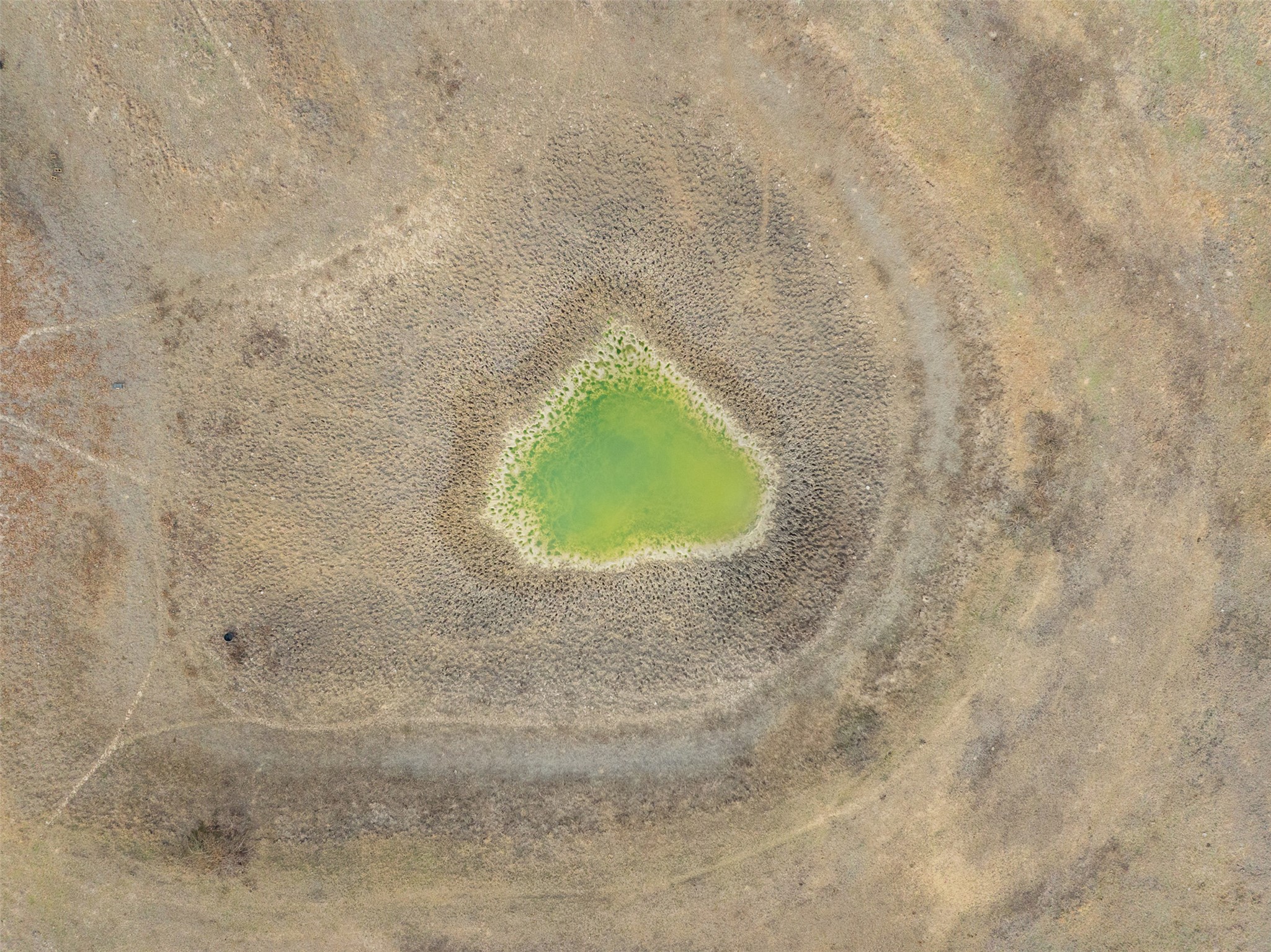 1310 North Nassau Road Round Top, TX 78954 - Photo 2 of 25