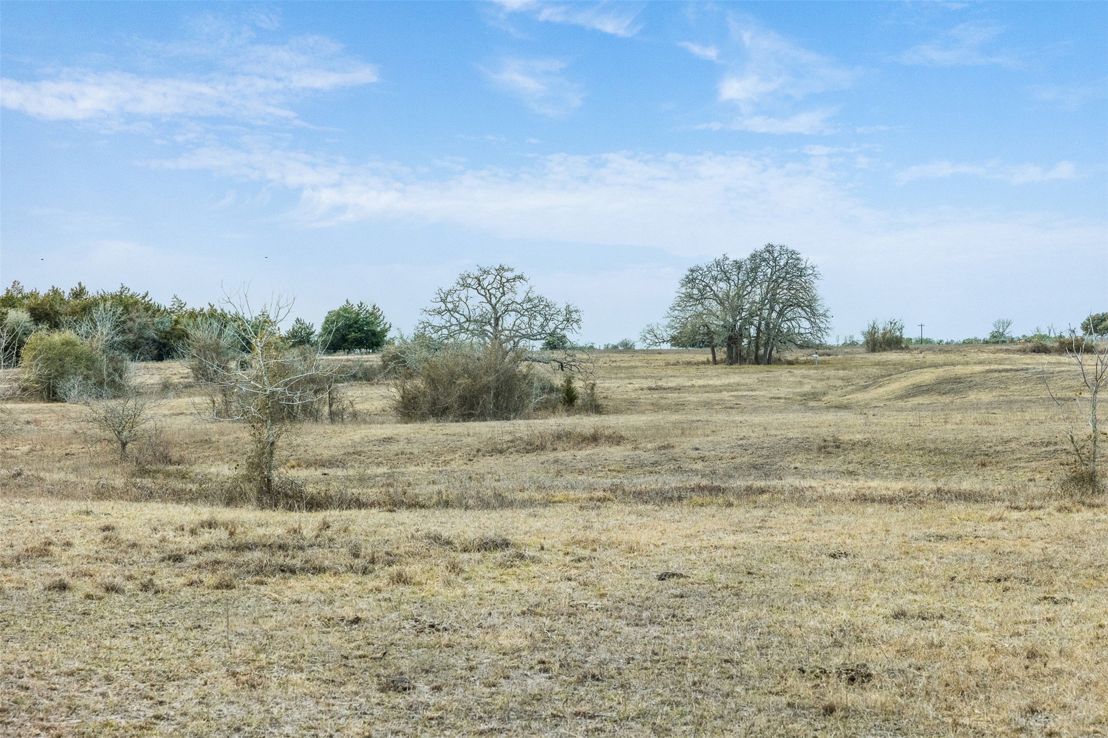 1310 North Nassau Road Round Top, TX 78954 - Photo 4 of 25